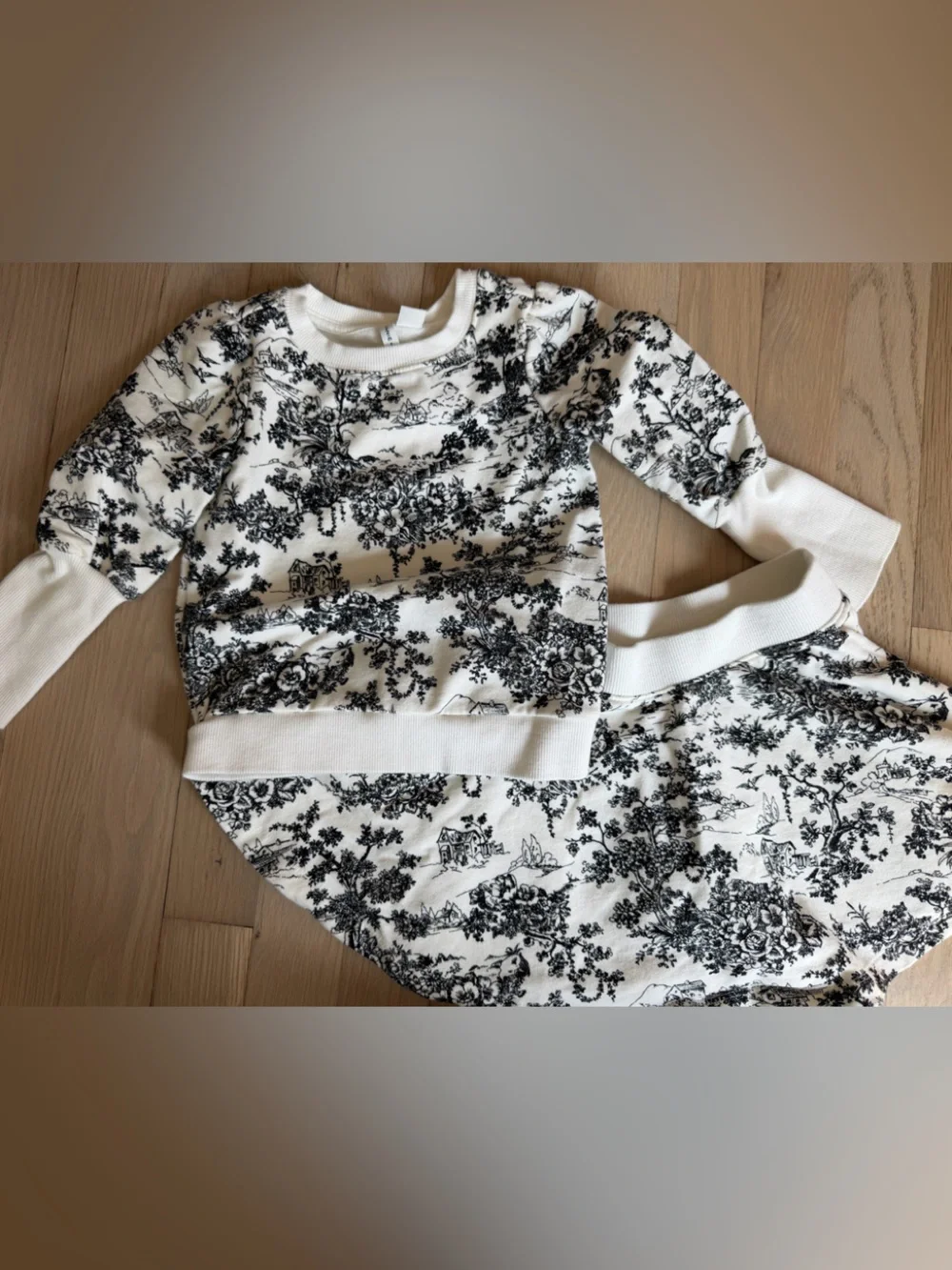 Janie and Jack toile print sweatshirt skirt set